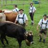 Einer der ersten Viehscheid, fand heute in Oberstaufen statt. 16 Alpen mit mehr als 1.000 Tieren kamen vom Berg ins Tal zurück. Mehrere tausend Besucher waren dazu in Oberstaufen zu Gast und empfingen die Tiere im Tal. Auch Ministerpräsident Markus Söder war vor Ort.