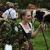Einer der ersten Viehscheid, fand heute in Oberstaufen statt. 16 Alpen mit mehr als 1.000 Tieren kamen vom Berg ins Tal zurück. Mehrere tausend Besucher waren dazu in Oberstaufen zu Gast und empfingen die Tiere im Tal. Auch Ministerpräsident Markus Söder war vor Ort.