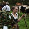 Einer der ersten Viehscheid, fand heute in Oberstaufen statt. 16 Alpen mit mehr als 1.000 Tieren kamen vom Berg ins Tal zurück. Mehrere tausend Besucher waren dazu in Oberstaufen zu Gast und empfingen die Tiere im Tal. Auch Ministerpräsident Markus Söder war vor Ort.