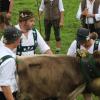 Einer der ersten Viehscheid, fand heute in Oberstaufen statt. 16 Alpen mit mehr als 1.000 Tieren kamen vom Berg ins Tal zurück. Mehrere tausend Besucher waren dazu in Oberstaufen zu Gast und empfingen die Tiere im Tal. Auch Ministerpräsident Markus Söder war vor Ort.