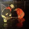 Große Gewitterzellen sind am Freitagabend und in der Nacht zum Samstag wieder über das Allgäu gezogen. Tausende Blitze erhellten den Allgäuer Nachthimmel, verbunden mit plötzlichem Starkregen und Wind. In Wangen im Allgäu wurden Straßen überflutet, Keller und Garagen liefen teilweise voll Wasser und mussten von der Feuerwehr wieder ausgepumpt werden. Im Landkreis Lindau fielen innerhalb kürzester Zeit rund 80 Liter Regen pro Quadratmeter. 
[video]https://www.youtube.com/watch?v=QHIimoIQRKs[/video]
In der Gemeinde Weißensberg stand das Wasser an einzelnen Stellen der Bundesstraße 12 bei Wildberg über Kniehöhe. Grund: Die Gullys konnten das viele Wasser nicht mehr abtransportieren. Die Bundesstraße kurz vor der A96 musste gesperrt werden - auch eine Obstplantage stand komplett unter Wasser. Die Feuerwehr war im Dauereinsatz, um in dem Ort das Wasser abzupumpen. Bei Bad Hindelang fiel der Strom durch einen Blitzeinschlag in eine Leitung aus.
Allgäu: Autofahrer zu schnell bei Regen unterwegs - mehrere Unfälle