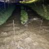 Große Gewitterzellen sind am Freitagabend und in der Nacht zum Samstag wieder über das Allgäu gezogen. Tausende Blitze erhellten den Allgäuer Nachthimmel, verbunden mit plötzlichem Starkregen und Wind. In Wangen im Allgäu wurden Straßen überflutet, Keller und Garagen liefen teilweise voll Wasser und mussten von der Feuerwehr wieder ausgepumpt werden. Im Landkreis Lindau fielen innerhalb kürzester Zeit rund 80 Liter Regen pro Quadratmeter. 
[video]https://www.youtube.com/watch?v=QHIimoIQRKs[/video]
In der Gemeinde Weißensberg stand das Wasser an einzelnen Stellen der Bundesstraße 12 bei Wildberg über Kniehöhe. Grund: Die Gullys konnten das viele Wasser nicht mehr abtransportieren. Die Bundesstraße kurz vor der A96 musste gesperrt werden - auch eine Obstplantage stand komplett unter Wasser. Die Feuerwehr war im Dauereinsatz, um in dem Ort das Wasser abzupumpen. Bei Bad Hindelang fiel der Strom durch einen Blitzeinschlag in eine Leitung aus.
Allgäu: Autofahrer zu schnell bei Regen unterwegs - mehrere Unfälle