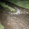 Große Gewitterzellen sind am Freitagabend und in der Nacht zum Samstag wieder über das Allgäu gezogen. Tausende Blitze erhellten den Allgäuer Nachthimmel, verbunden mit plötzlichem Starkregen und Wind. In Wangen im Allgäu wurden Straßen überflutet, Keller und Garagen liefen teilweise voll Wasser und mussten von der Feuerwehr wieder ausgepumpt werden. Im Landkreis Lindau fielen innerhalb kürzester Zeit rund 80 Liter Regen pro Quadratmeter. 
[video]https://www.youtube.com/watch?v=QHIimoIQRKs[/video]
In der Gemeinde Weißensberg stand das Wasser an einzelnen Stellen der Bundesstraße 12 bei Wildberg über Kniehöhe. Grund: Die Gullys konnten das viele Wasser nicht mehr abtransportieren. Die Bundesstraße kurz vor der A96 musste gesperrt werden - auch eine Obstplantage stand komplett unter Wasser. Die Feuerwehr war im Dauereinsatz, um in dem Ort das Wasser abzupumpen. Bei Bad Hindelang fiel der Strom durch einen Blitzeinschlag in eine Leitung aus.
Allgäu: Autofahrer zu schnell bei Regen unterwegs - mehrere Unfälle