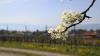 Der Frühling dürfte jetzt endgültig angekommen sein. In Lindau am Bodensee blühen schon die ersten Obstbäume und die Schwäne im Lindauer Hafen brüten ihre Eier aus. Die Wassertemperatur beträgt knapp 10 Grad, die Lufttemperatur liegt bei angenehmen 23 Grad. Blauer Himmel soweit das Auge reicht und auch die Bienen sind schon aktiv und fliegen vollgepackt von Blüte zu Blüte. 
[video]https://www.youtube.com/watch?v=E_IoxFWjLFE[/video]