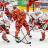 Zu ungewohnter Bullyzeit von 14:30 Uhr traf der ESV Kaufbeuren heute auf den Liganeuling aus Regensburg. Trainer Marko Raita musste weiterhin auf die Langzeitverletzten Fabian Koziol, John Lammers und Yannik Burghart verzichten. Nicolas Appendino war für den Kooperationspartner aus München auf dem Eis und Leon van der Linde weilte bei der U20 Mannschaft. Kurzfristig fiel auch noch Maximilian Meier krankheitsbedingt aus. Vor dem Spiel wurde noch der Stadionsprecher des ESVK André Veil "Veilo" für 25 Jahre als Stimme der Joker geehrt. Vor 2.429 Zuschauern verlor der ESVK am Ende mit 3:2.
Joker starten mit viel DruckDie Joker begannen mit viel Druck und hatten durch Sebstian Gorcik früh die Chance in Führung zu gehen. Ein Beinstellen gegen Simon Schütz von Andrew Schembri nach knappen 4 gespielten Minuten ermöglichte den Joker ihre erste Überzahlmöglichkeit des Abends. In diesem nimmt Mikko Lehtonen den Schuss, die Scheibe prallte vom Schoner von Devin Williams ab und Tyler Spurgeon schob den Puck ins leere Tor. Nach einem Abschluss von Marvin Schmid durfte sich auch Daniel Fießinger erstmals auszeichnen. Kurz darauf ist es der ESVK, der sich mit seiner dritten Reihe im Angriffsdrittel festsetzte. Aus dieser Druckphase resultierte eine Strafzeit in der 8. Spielminute gegen Patrick Demetz wegen Behinderung. Dieses Powerplay war jedoch bereits nach 5 gespielten Sekunden beendet: Jacob Lagacé passte auf Mikko Lehtonen und dieser fand den Schläger von Tyler Spurgeon im Slot. Der hatte keine Mühe Devin Williams zu überwinden. Kurz darauf waren es die Gäste, die in Person von Andrew Schembri, erstmals auf der Anzeigetafel erschienen. Ein langer Pass von Patrick Demetz rutschte durch die komplette Hintermannschaft der Hausherren und der Routinier im Trikot der Eisbären Regensburg schloss dann eiskalt ab. Im direkten Gegenzug war es Jere Laaksonen, der nur durch ein Halten von Jakob Weber zu stoppen war. Zu Beginn der Überzahl ist es Max Oswald, der am Gestänge scheiterte. Das Team von Max Kaltenhauser überstand diese numerische Unterzahl jedoch schadlos. Die Allgäuer blieben auch in der Folge die aktivere Mannschaft. Kurz vor der Pause hatte dann noch Sebastian Gorcik eine gute Chance auf den nächsten Treffer für die Wertachstädter. Ein Stockcheck von Jacob Lagacé ermöglichte es den Gästen dann, das erste Mal am Abend ihre Überzahlformation auf das Eis zu schicken. Mit einem Spielstand von 2:1 ging es in die erste Pause des Abends.Mit Unterzahl ins zweite DrittelDie Hausherren starteten mit Unterzahl in den Mittelabschnitt. Eine gute defensive Ordnung legte den Grundstein für ein schadloses Überstehen dieser Phase. Regensburg kam in der Folge besser in die Partie und schaffte es sich immer mehr Spielanteile zu erarbeiten. Fortan gab es viele Abstimmungsprobleme auf beiden Seiten. In der 28. Spielminute musste dann Markus Lillich wegen eines Beinstellens in die Kühlbox. Die Gäste schafften es jedoch nicht daraus Kapital zu schlagen. Kurz darauf wurde Phillip Krauß von Patrick Demetz strafwürdig zu Fall gebracht. So gab die nächste numerische Überlegenheit für die Buron Joker. Der ESVK baute hier mächtig Druck auf. Regensburg hielt diesem jedoch Stand und killte die Überzahl. In der Folge waren die Gäste näher am Ausgleich wie die Joker am nächsten Treffer. Kurz vor der Sirene sprachen die Schiedsrichter eine Strafe gegen Dieter Orendorz wegen Unnötiger Härte aus. Der zweite Abschnitt endete 0:0.Regensburg sicher in der DefensiveDie Regensburger starteten auch in das Schlussdrittel mit knappen 90 Sekunden in Überzahl. Kaufbeuren überstand diese Zeit jedoch ohne Gegentreffer. Ein Beinstellen gegen Markus Schweiger von Patrick Demetz kurz darauf ermöglichte es Marko Raita erneut seine Überzahlformation auf das Eis zu schicken. Es fehlte aber die Präzision im Abschluss oder im finalen Zuspiel und so blieb es beim knappen Spielstand von 2:1. Ein Pfostenschuss von Daniel Pronin stellte die größte Chance in dieser Phase dar. In der 50. Spielminute musste Simon Schütz nach einem Stockcheck Platz auf der Strafbank nehmen. Kurz vor Ablauf hatte Radium Matus den Ausgleich auf der Scheibe. Er schaffte es aber nicht den Puck über die Linie zu befördern. Daniel Fießinger rutschte immer mehr in den Mittelpunkt und konnte sich mit einigen guten Paraden auszeichnen. Ein Abstimmungsfehler des ESVK ermöglichte es Richard Divis frei vor Daniel Fießinger aufzutauchen und dieser schoss den Ausgleich. Direkt im Gegenzug flog die Scheibe von der Bande direkt zurück in den Slot und dort schloss Topi Piipponnen eiskalt ab und brachte seine Farben erstmals in Führung. Die Joker versuchten nochmal alles. Regensburg stand jedoch defensiv sicher. Eine Minute vor Ende zog Marko Raita Daniel Fießinger zu Gunsten eines weiteren Feldspielers. In dieser Phase fiel ein Tor für die Joker. Die Entscheidung der Unparteiischen lautete jedoch kein Tor. Nach Betrachtung der Bilder hatte diese Entscheidung bestand.

(Text: Tobias Linke)