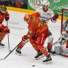 Zu ungewohnter Bullyzeit von 14:30 Uhr traf der ESV Kaufbeuren heute auf den Liganeuling aus Regensburg. Trainer Marko Raita musste weiterhin auf die Langzeitverletzten Fabian Koziol, John Lammers und Yannik Burghart verzichten. Nicolas Appendino war für den Kooperationspartner aus München auf dem Eis und Leon van der Linde weilte bei der U20 Mannschaft. Kurzfristig fiel auch noch Maximilian Meier krankheitsbedingt aus. Vor dem Spiel wurde noch der Stadionsprecher des ESVK André Veil "Veilo" für 25 Jahre als Stimme der Joker geehrt. Vor 2.429 Zuschauern verlor der ESVK am Ende mit 3:2.
Joker starten mit viel DruckDie Joker begannen mit viel Druck und hatten durch Sebstian Gorcik früh die Chance in Führung zu gehen. Ein Beinstellen gegen Simon Schütz von Andrew Schembri nach knappen 4 gespielten Minuten ermöglichte den Joker ihre erste Überzahlmöglichkeit des Abends. In diesem nimmt Mikko Lehtonen den Schuss, die Scheibe prallte vom Schoner von Devin Williams ab und Tyler Spurgeon schob den Puck ins leere Tor. Nach einem Abschluss von Marvin Schmid durfte sich auch Daniel Fießinger erstmals auszeichnen. Kurz darauf ist es der ESVK, der sich mit seiner dritten Reihe im Angriffsdrittel festsetzte. Aus dieser Druckphase resultierte eine Strafzeit in der 8. Spielminute gegen Patrick Demetz wegen Behinderung. Dieses Powerplay war jedoch bereits nach 5 gespielten Sekunden beendet: Jacob Lagacé passte auf Mikko Lehtonen und dieser fand den Schläger von Tyler Spurgeon im Slot. Der hatte keine Mühe Devin Williams zu überwinden. Kurz darauf waren es die Gäste, die in Person von Andrew Schembri, erstmals auf der Anzeigetafel erschienen. Ein langer Pass von Patrick Demetz rutschte durch die komplette Hintermannschaft der Hausherren und der Routinier im Trikot der Eisbären Regensburg schloss dann eiskalt ab. Im direkten Gegenzug war es Jere Laaksonen, der nur durch ein Halten von Jakob Weber zu stoppen war. Zu Beginn der Überzahl ist es Max Oswald, der am Gestänge scheiterte. Das Team von Max Kaltenhauser überstand diese numerische Unterzahl jedoch schadlos. Die Allgäuer blieben auch in der Folge die aktivere Mannschaft. Kurz vor der Pause hatte dann noch Sebastian Gorcik eine gute Chance auf den nächsten Treffer für die Wertachstädter. Ein Stockcheck von Jacob Lagacé ermöglichte es den Gästen dann, das erste Mal am Abend ihre Überzahlformation auf das Eis zu schicken. Mit einem Spielstand von 2:1 ging es in die erste Pause des Abends.Mit Unterzahl ins zweite DrittelDie Hausherren starteten mit Unterzahl in den Mittelabschnitt. Eine gute defensive Ordnung legte den Grundstein für ein schadloses Überstehen dieser Phase. Regensburg kam in der Folge besser in die Partie und schaffte es sich immer mehr Spielanteile zu erarbeiten. Fortan gab es viele Abstimmungsprobleme auf beiden Seiten. In der 28. Spielminute musste dann Markus Lillich wegen eines Beinstellens in die Kühlbox. Die Gäste schafften es jedoch nicht daraus Kapital zu schlagen. Kurz darauf wurde Phillip Krauß von Patrick Demetz strafwürdig zu Fall gebracht. So gab die nächste numerische Überlegenheit für die Buron Joker. Der ESVK baute hier mächtig Druck auf. Regensburg hielt diesem jedoch Stand und killte die Überzahl. In der Folge waren die Gäste näher am Ausgleich wie die Joker am nächsten Treffer. Kurz vor der Sirene sprachen die Schiedsrichter eine Strafe gegen Dieter Orendorz wegen Unnötiger Härte aus. Der zweite Abschnitt endete 0:0.Regensburg sicher in der DefensiveDie Regensburger starteten auch in das Schlussdrittel mit knappen 90 Sekunden in Überzahl. Kaufbeuren überstand diese Zeit jedoch ohne Gegentreffer. Ein Beinstellen gegen Markus Schweiger von Patrick Demetz kurz darauf ermöglichte es Marko Raita erneut seine Überzahlformation auf das Eis zu schicken. Es fehlte aber die Präzision im Abschluss oder im finalen Zuspiel und so blieb es beim knappen Spielstand von 2:1. Ein Pfostenschuss von Daniel Pronin stellte die größte Chance in dieser Phase dar. In der 50. Spielminute musste Simon Schütz nach einem Stockcheck Platz auf der Strafbank nehmen. Kurz vor Ablauf hatte Radium Matus den Ausgleich auf der Scheibe. Er schaffte es aber nicht den Puck über die Linie zu befördern. Daniel Fießinger rutschte immer mehr in den Mittelpunkt und konnte sich mit einigen guten Paraden auszeichnen. Ein Abstimmungsfehler des ESVK ermöglichte es Richard Divis frei vor Daniel Fießinger aufzutauchen und dieser schoss den Ausgleich. Direkt im Gegenzug flog die Scheibe von der Bande direkt zurück in den Slot und dort schloss Topi Piipponnen eiskalt ab und brachte seine Farben erstmals in Führung. Die Joker versuchten nochmal alles. Regensburg stand jedoch defensiv sicher. Eine Minute vor Ende zog Marko Raita Daniel Fießinger zu Gunsten eines weiteren Feldspielers. In dieser Phase fiel ein Tor für die Joker. Die Entscheidung der Unparteiischen lautete jedoch kein Tor. Nach Betrachtung der Bilder hatte diese Entscheidung bestand.

(Text: Tobias Linke)