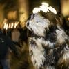 Einem alten Brauch zufolge treiben am Abend des 5. und 6. Dezember in der ganzen Stadt wilde "Rumpelklausen" ihr Unwesen. Mit dicken Pelzen vermummt, geschmückt mit Geweihen, Hörnern und riesigen Kuhschellen ziehen die Klausen durch die Stadt. Mit Ruten laufen sie in Gruppen umher und schlagen nach den Schaulustigen.