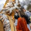 Nach vier Jahren Pause gab es am Samstag den 6. Günzer Karnevalszug. Bei fast frühlingshaftem Wetter zogen 350 Teilnehmer - von Kindergartenkindern bis hin zu den Wilden 70-ern - mit liebevoll gestalteten Kostümen und Wagen die Dorfstraße lang. Das Kinderprinzenpaar Paula I. und Timo I. haben von ihrer Burg aus den fast 4.000 Zuschauern zugewinkt. Für die musikalische Unterstützung im Zug sorgten die Westerheimer Musikanten und die Laub'ner Blasmusik.
 
Fotos: Thomas Weigert
 
 
 