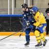 Finnland hat sich beim 5-Nationen-Turnier in Füssen am Sonntag beim Spiel gegen Schweden mit 4:1 durchgesetzt. Damit gewannen die finnischen Frauen das Turnier vor Tschechien, Schweden, der Schweiz und Deutschland.