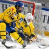 Finnland hat sich beim 5-Nationen-Turnier in Füssen am Sonntag beim Spiel gegen Schweden mit 4:1 durchgesetzt. Damit gewannen die finnischen Frauen das Turnier vor Tschechien, Schweden, der Schweiz und Deutschland.