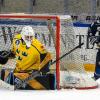 Finnland hat sich beim 5-Nationen-Turnier in Füssen am Sonntag beim Spiel gegen Schweden mit 4:1 durchgesetzt. Damit gewannen die finnischen Frauen das Turnier vor Tschechien, Schweden, der Schweiz und Deutschland.
