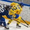 Finnland hat sich beim 5-Nationen-Turnier in Füssen am Sonntag beim Spiel gegen Schweden mit 4:1 durchgesetzt. Damit gewannen die finnischen Frauen das Turnier vor Tschechien, Schweden, der Schweiz und Deutschland.