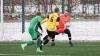 Testspiel: TV Haldenwang gewinnt gegen den SV Steinheim mit 5:1