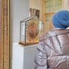 In Ottobeuren ist das Klostermuseum der Benediktinerabtei nach langer Renovierung am Samstag wieder eröffnet worden. Zahlreiche Besucher besichtigten am Tag der offenen Tür das neue Klostermuseum. 
 
Bilder: Fritz Pavlon