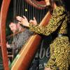 Mit einer Mischung aus traditioneller und moderner irischer Musik hat "Irish Heartbeat" am Dienstagabend den St. Patrick´s Day in der Kultbox in Kempten nachgefeiert. Mit viel Spiellaune und Können begeisterten die drei Bands "Alfi", "Fourth Moon" und "The Outside Track" das Publikum. Beim letzten Lied animierte "The Outside Track" die Zuschauer zum Mitsingen. Als bei der gemeinsamen Zugabe dann alle Musiker noch einmal auf der Bühne waren, jubelte das Publikum ihnen ihm Stehen zu. Für die Musiker war Kempten die letzte Station ihrer langen Tournee, die sie einmal durch ganz Deutschland geführt hatte.
Fotos: Christian Gögler