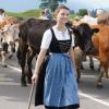 Am Dienstag fand in Schöllang bei Oberstdorf der Viehscheid statt. Rund 570 Jungrinder von vier Alpen zogen in den Ort. Das tolle Wetter lockte zahlreiche Schaulustige an, die sich das Spektakel nicht entgehen lassen wollten.
Biergarten und Marktplatz
Fürs leibliche Wohl war auch gesorgt. Neben einem Biergarten, der gut besucht war, gab es auch ein Festzelt mitsamt Musikkapelle. Auch einen kleinen Markt gab es abseits des Viehscheids. Neben Taschen und Hüten konnten die Viehscheid-Besucher auch Küchenutensilien kaufen, während die Rinder zu ihren Besitzern trotteten. 
 
Weitere Bilder und Infos zum Viehscheid in Schöllang gibt es auf allgäuer-zeitung.de.
Im Allgäu hat die Viehscheid-Saison begonnen. In unserem Übersichtsartikel gibt es die weiteren Termine für die diesjährigen Almabtriebe. 