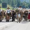 Am Dienstag fand in Schöllang bei Oberstdorf der Viehscheid statt. Rund 570 Jungrinder von vier Alpen zogen in den Ort. Das tolle Wetter lockte zahlreiche Schaulustige an, die sich das Spektakel nicht entgehen lassen wollten.
Biergarten und Marktplatz
Fürs leibliche Wohl war auch gesorgt. Neben einem Biergarten, der gut besucht war, gab es auch ein Festzelt mitsamt Musikkapelle. Auch einen kleinen Markt gab es abseits des Viehscheids. Neben Taschen und Hüten konnten die Viehscheid-Besucher auch Küchenutensilien kaufen, während die Rinder zu ihren Besitzern trotteten. 
 
Weitere Bilder und Infos zum Viehscheid in Schöllang gibt es auf allgäuer-zeitung.de.
Im Allgäu hat die Viehscheid-Saison begonnen. In unserem Übersichtsartikel gibt es die weiteren Termine für die diesjährigen Almabtriebe. 