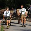 Beim Viehscheid in Immenstadt 2023 kamen 657 Tiere ins Tal. Tausende Besucher schauten beim einzigen städtischen Viehscheid in Deutschland zu.