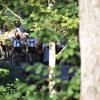 Beim Viehscheid in Immenstadt 2023 kamen 657 Tiere ins Tal. Tausende Besucher schauten beim einzigen städtischen Viehscheid in Deutschland zu.
