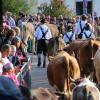 Beim Viehscheid in Immenstadt 2023 kamen 657 Tiere ins Tal. Tausende Besucher schauten beim einzigen städtischen Viehscheid in Deutschland zu.