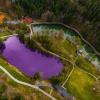 Ein See im Allgäu färbt sich immer wieder einmal lila: Hier die Bilder dieses besonderen Naturschauspiels.