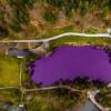 Ein See im Allgäu färbt sich immer wieder einmal lila: Hier die Bilder dieses besonderen Naturschauspiels.