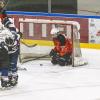 Am Freitagabend fand in der Memminger Eissporthalle am Hühnerberg die Eishockey Bayernliga U20-Begegnung zwischen dem ECDC Memmingen Young Indians und dem EV Pfronten statt. Das Spiel endete mit einem 5:4 Sieg der Gastgeber.
 
Siegfried Rebhan