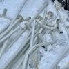 Am Sonntagmorgen erlebten die Helfer des Adventsmarkts der Feuerwehr Hergensweiler eine böse Überraschung. Der schwere, nasse Schnee, der in der Nacht gefallen war, hatte zahlreiche Zelte einstürzen lassen. Auch in Lindenberg im Allgäu fiel über Nacht 26 Zentimeter Neuschnee.