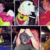 Eine Fiesta in Rot-Gelb-Rot