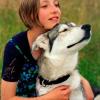 Der Hundeversteher