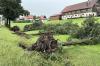 Das Gewitter am Freitagabend ließ Bäume an der B12 bei Wildberg umstürzen.