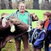 "Manche Bauern resignieren einfach"