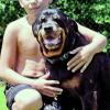 Rottweiler Emily kostet jetzt mehr als das Zehnfache
