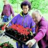 Im Garten Eden Seele baumeln lassen