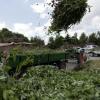 Vom Kompost bis hin zur kostenlosen Gartenabfallsammlung