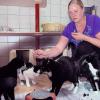 Im Katzenhaus wirds eng