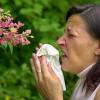 Allergiker-freundlicher Urlaub in Kurgemeinde