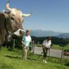 Neue Führungsspitze beim Tourismusverband Allgäu Bayerisch Schwaben