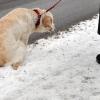 Keine Winterwanderwege mehr in Stiefenhofen