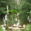 Weiterhin Wildnis-Schule in Sonthofen