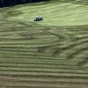 Gemeinderat Westerheim befasst sich mit künftiger landwirtschaftlicher Nutzung des Kiesabbaugeländes