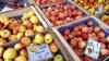 Bodensee-Obstbauern mit bisheriger Saison zufrieden