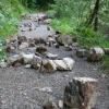 Steinschlag am Bad Faulenbacher Obersee: Stadt Füssen beobachtet Lage