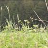 Wildpoldsried bekommt Gegenwind: Die Erweiterung des Windparks sorgt für Diskussionen