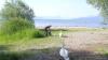 BUND lädt zu Entdeckungsreise an den Bodensee