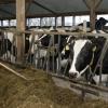 Landwirt verklagt Freistaat ohne Erfolg