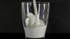 Verein Regio Allgäu will Lust auf Milch machen