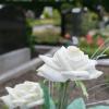 Lichter auf dem ehemaligen Patientenfriedhof in Irsee gegen das Vergessen der NS- Euthanasie-Aktionen