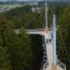 Skywalk: Therapie zwischen Baumwipfeln