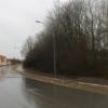 Bäume werden geschnitten, nicht gefällt - Kleines Wäldchen entlang der Münchener Straße bleibt erhalten